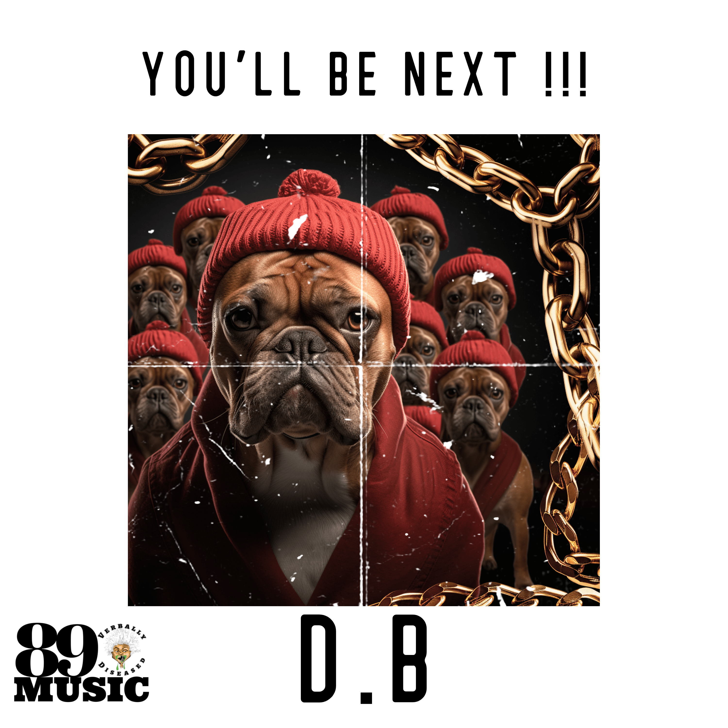 “You’ll Be Next by D.B – produced by No I.D, written by A. Watson. Underground Chicago hip-hop single from Verbally Diseased.”